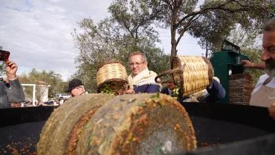 21. Uluslararası Ayvalık Zeytin Hasat ve Turizm Festivali kapsamında gerçekleştirilen