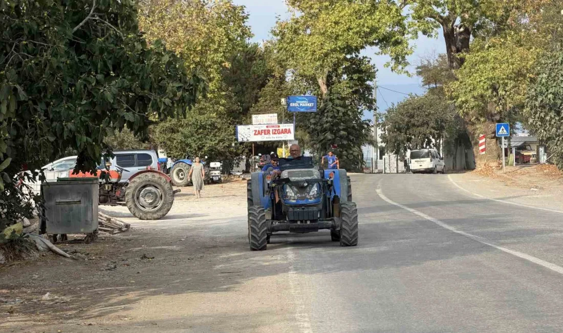 Bursa’nın İznik ilçesine bağlı Göllüce Mahallesi’nde yaşayan 71 yaşındaki eski