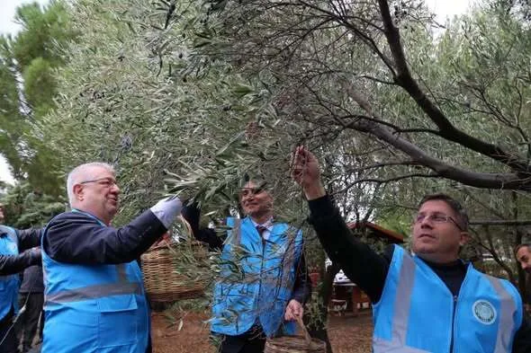 BALIKESİR – Edremit Meslek Yüksekokulu ve Edremit Zeytincilik Enstitüsü iş