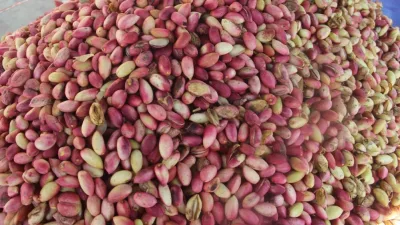 ABD Tarım Bakanlığı (USDA) Dış Tarım Servisi (FAS) tarafından yayınlanan