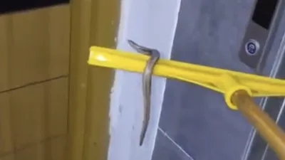 İstanbul Arnavutköy’de etkili olan sağanak yağışta bir apartmanın bodrum katını