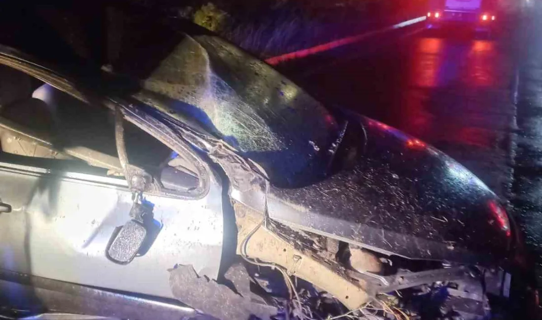 Balıkesir’in Ayvalık ilçesinde meydana gelen tek taraflı trafik kazasında 1