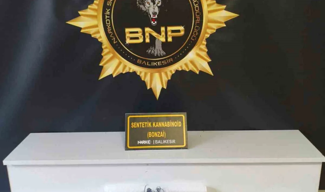 Balıkesir’de polis ekiplerinin düzenlediği operasyonda, yaklaşık 100 kilogram bonzai üretilebilecek