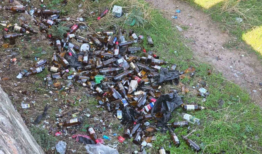 Balıkesir’in Bandırma ilçesinde yeşillik alana atılan çok sayıda cam şişe