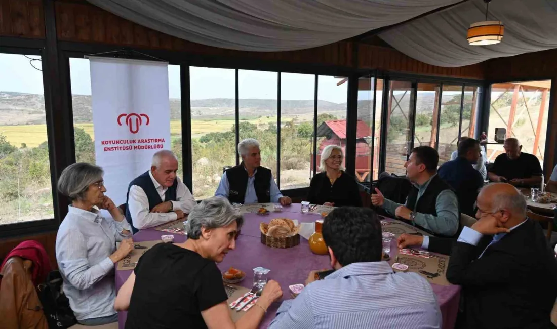Bandırma Koyunculuk Araştırma Enstitüsü Müdürlüğü ev sahipliğinde düzenlenen 8. Türkiye