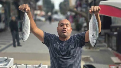 Bandırma’da 100 liradan satılan palamutun fiyatı 75 liraya kadar geriledi.