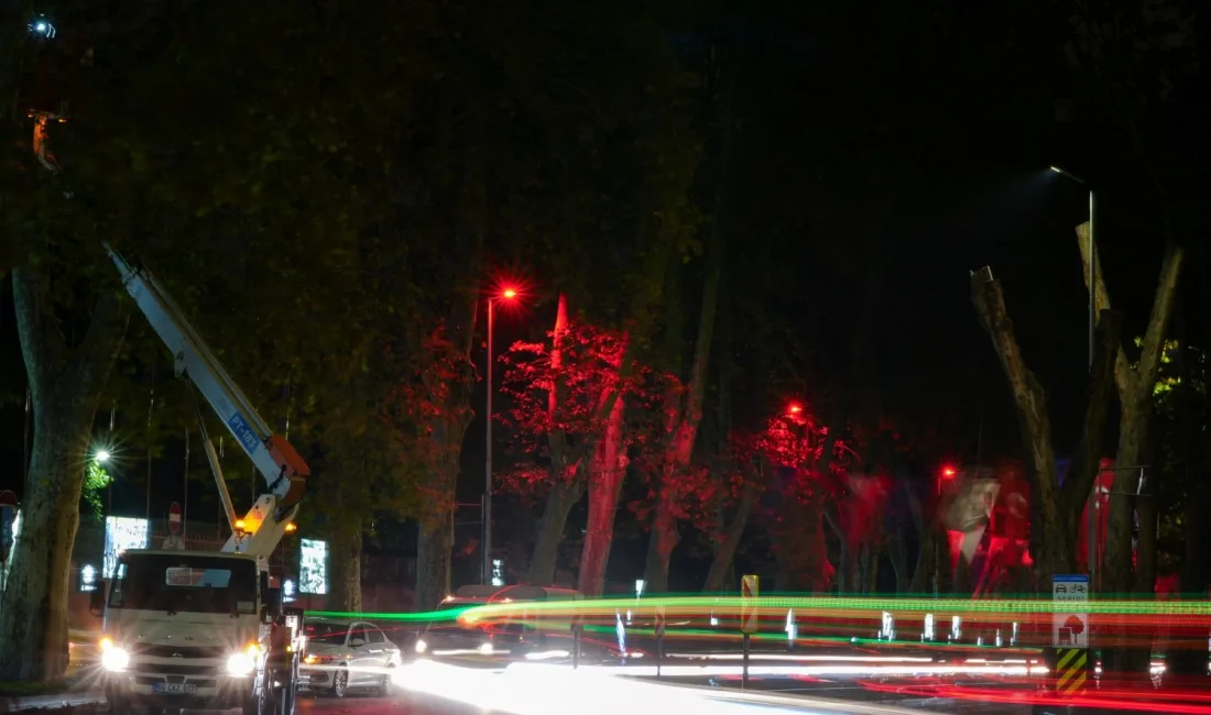 BEDAŞ, 29 Ekim Cumhuriyet Bayramı dolayısıyla İstanbul’daki Dolmabahçe Caddesi’ni kırmızı-beyaz