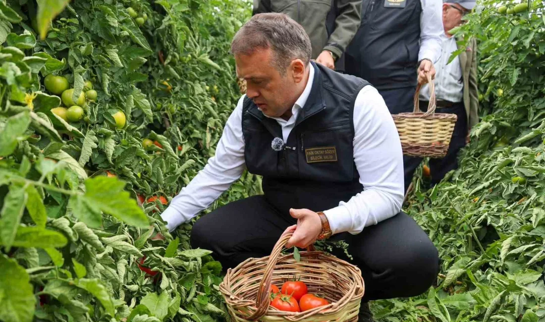 Bilecik’te açık ve kapalı alan olmak üzere 13 bin 48