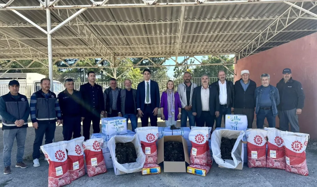 Bilecik’in Pazaryeri ilçesinde üreticilere 41 bin 750 çilek fidesi dağıtıldı.