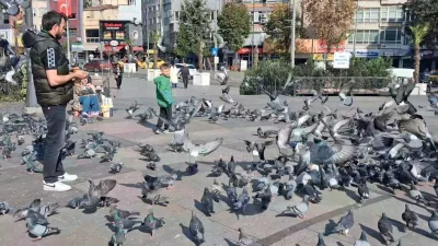 Tekirdağ’ın Çorlu ilçesinde sonbaharın son günlerinde termometreler 16 dereceyi gösterirken,