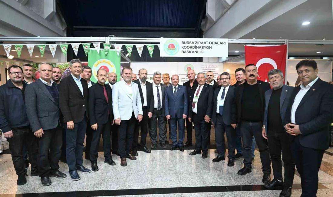 Bursa Ticaret ve Sanayi Odası (BTSO) Yönetim Kurulu Başkanı Özer
