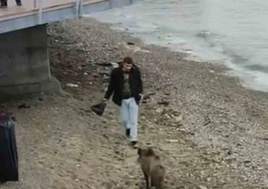 Bursa’nın Mudanya ilçesinde yiyecek arayışına çıkan yaban domuzu sahile kadar