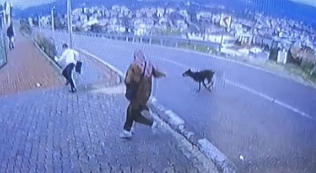 Bursa’nın Orhangazi ilçesinde durakta minibüs bekleyen 2 kadın ve 11