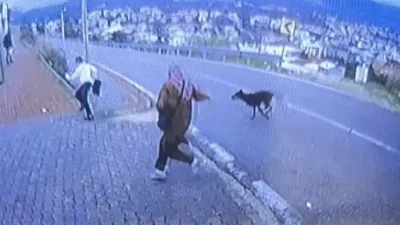 Bursa’nın Orhangazi ilçesinde durakta minibüs bekleyen 2 kadın ve 11