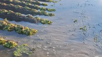 Sakarya’da geçtiğimiz hafta etkili olan sağanak yağış ve taşkınların ardından