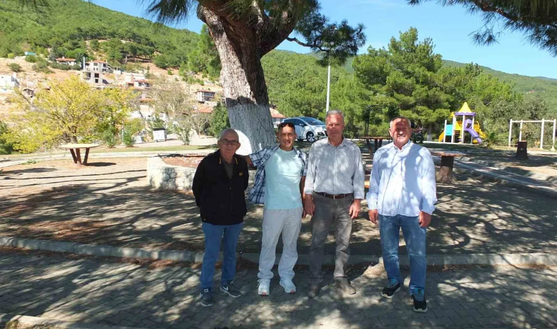 Edremit ilçesine bağlı Güre Kavurmacılar kırsal mahallesinde bulunan Gelin Çamı