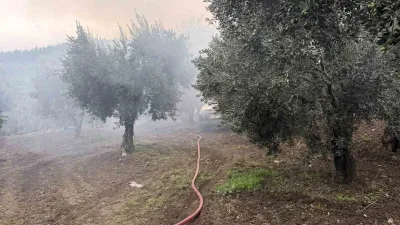 Balıkesir’in Erdek ilçesinde zeytinlik içerisinde bulunan tek katlı müstakil evde