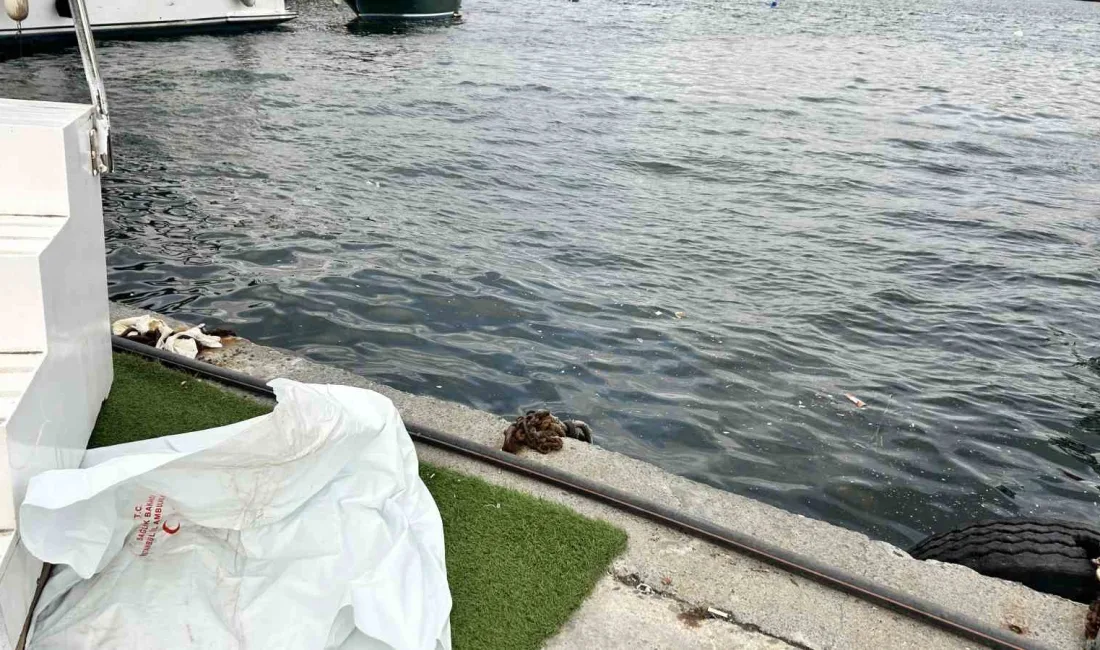 Fatih Cibali Sahili’nde, deniz polisi ekiplerince bir erkek cesedi bulundu.