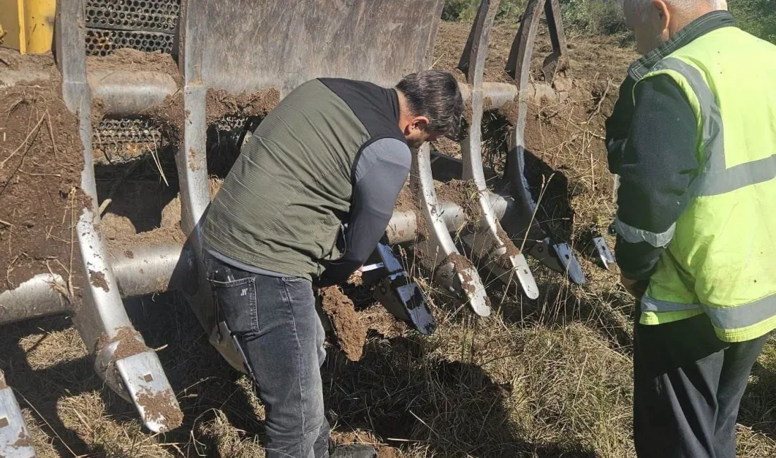 Balıkesir’in Gönen ilçesinde oluşturulacak 250 hektarlık endüstriyel plantasyon sahasında yürütülen