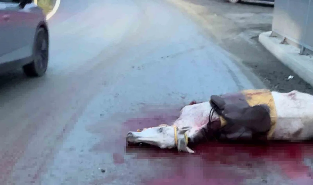 İstanbul’un Arnavutköy ilçesinde virajda kontrolden çıkan otomobil, karşı yönden gelen
