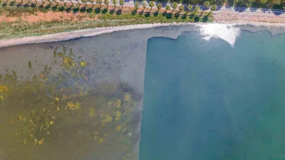 İzmit Körfezi’nin ekolojik yapısının iyileştirilmesi ve deniz canlıları için daha