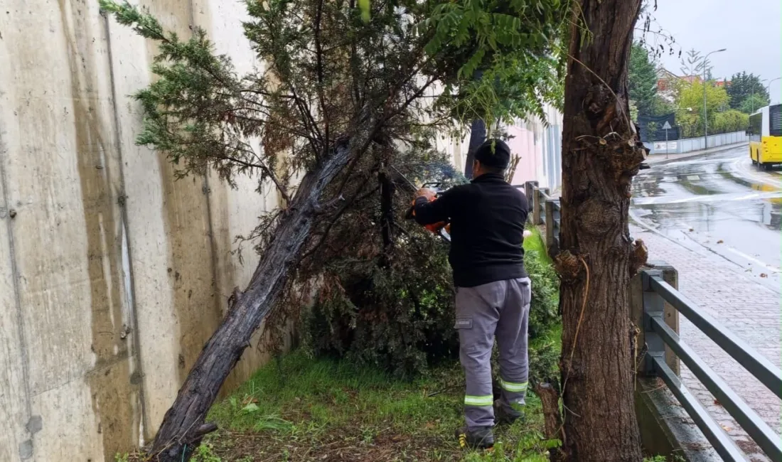 İstanbul genelinde ve Kartal’da etkili olan şiddetli yağış ve fırtınaya