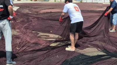 Deniz Yaşamını Koruma Derneği, Marmara Denizi’nin Adalar çevresinde deniz tabanından