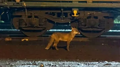Tekirdağ’ın Muratlı ilçe merkezinde tren istasyonu yakınındaki hemzemin geçit yanında