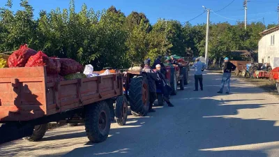 Bilecik’in Gölpazarı ilçesi Büyükbelen köyünde üreticiler bahçelerde yetiştirdikleri cevizleri alıcılarla