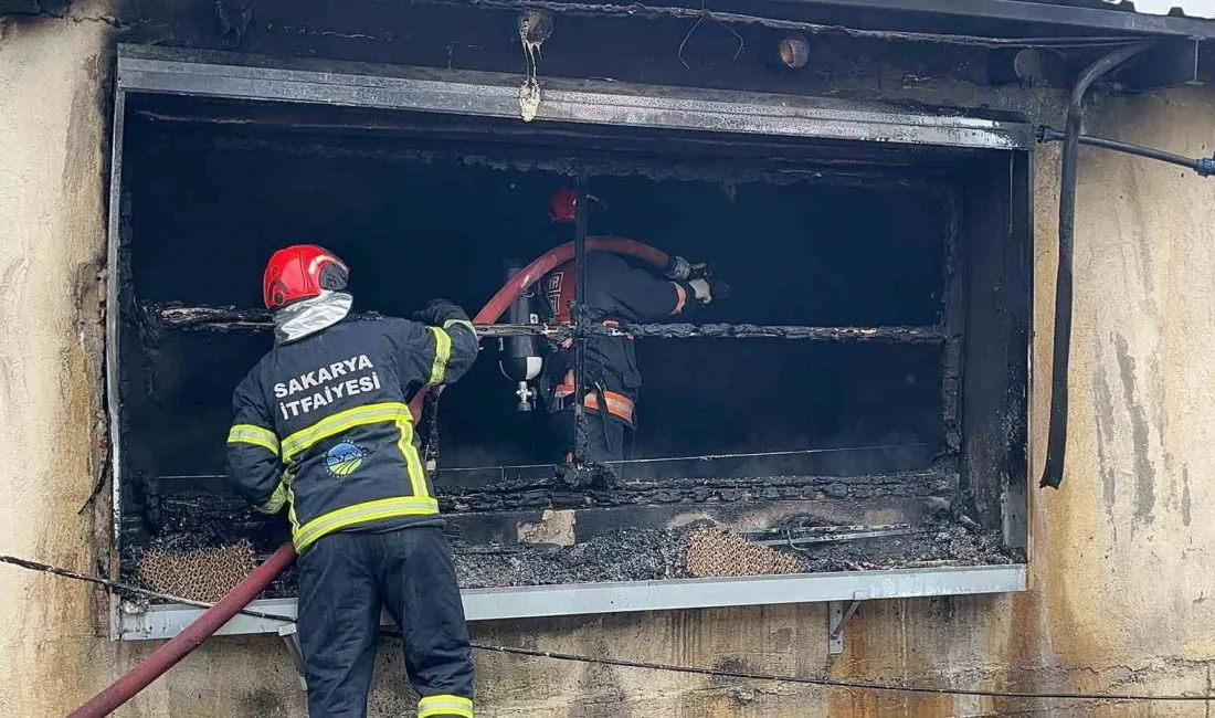 Sakarya’nın Pamukova ilçesinde bir tavuk çiftliğinde çıkan yangın, itfaiye ekiplerinin