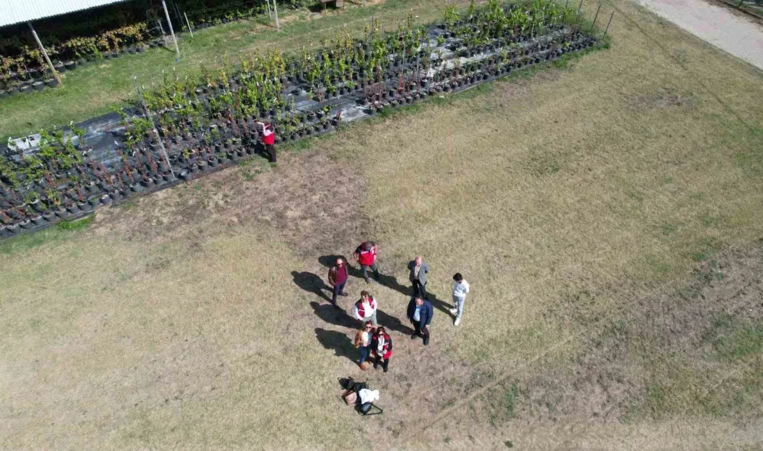 Trakya Kalkınma Ajansı tarafından desteklenen program kapsamında, Tekirdağ Tarım ve