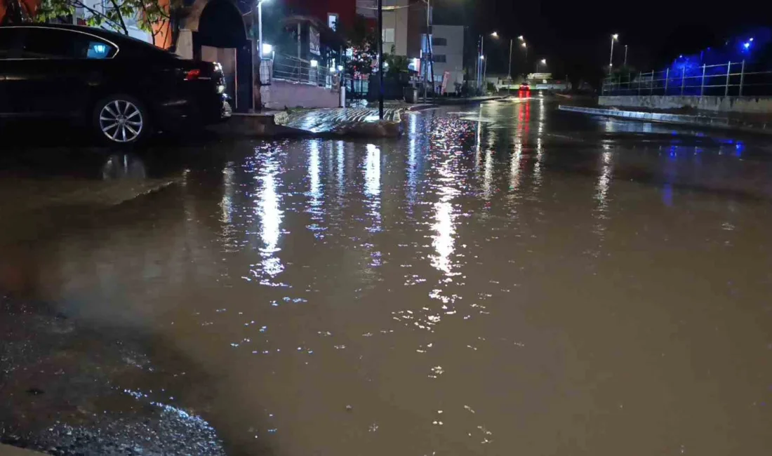 Tekirdağ’ın Süleymanpaşa ilçesinde şiddetli sağanak yağış, günlük yaşamı olumsuz etkiledi.