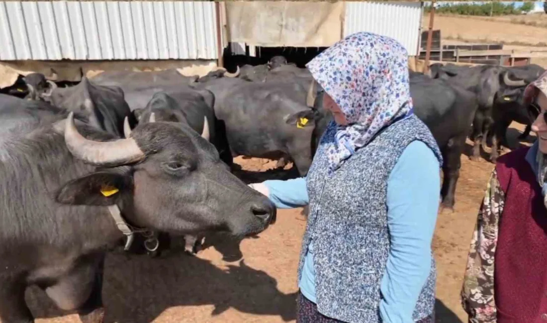 Tekirdağ’ın Süleymanpaşa ilçesine bağlı Karacakılavuz Mahallesi’nde Nigar Turan ve Emine