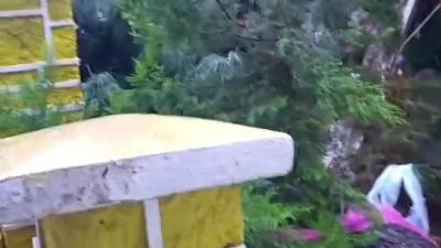 İstanbul’da etkili olan sağanak yağış ve fırtınanın ardından Üsküdar’da bir