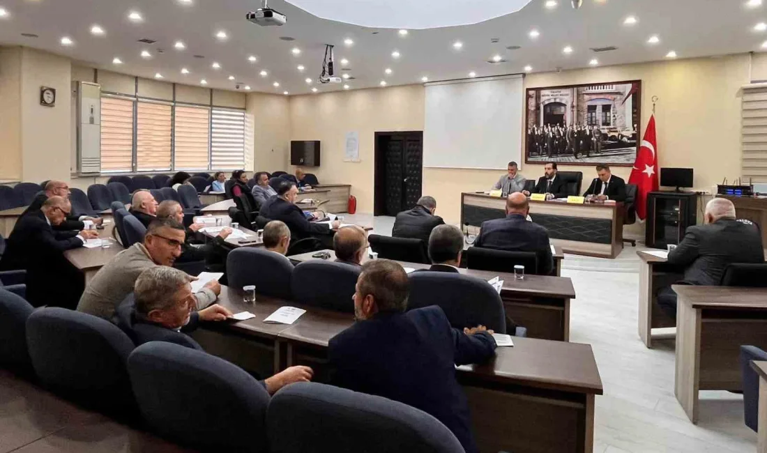 Yalova İl Genel Meclisi, kasım ayı olağan toplantılarında İl Özel